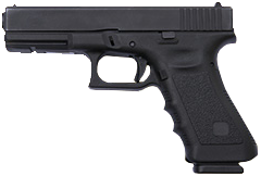 Gun